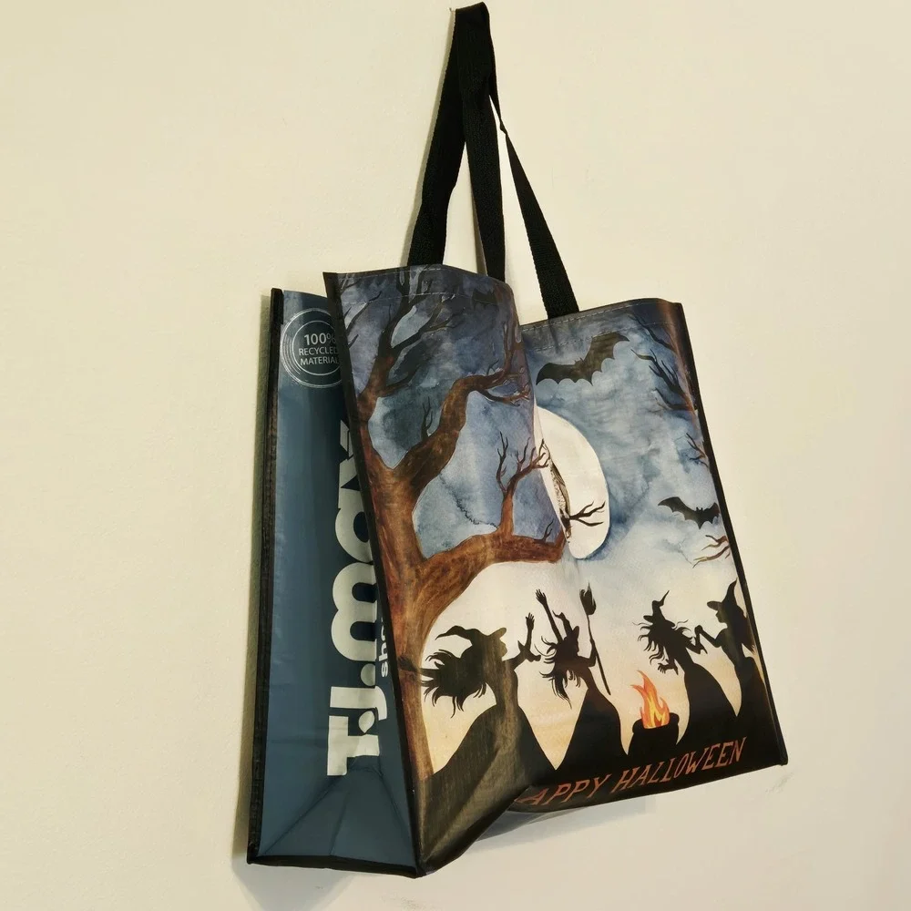 Halloween Witch Witches Cauldron Owl Trees Bats Broom Full Moon Bag TJMaxx New